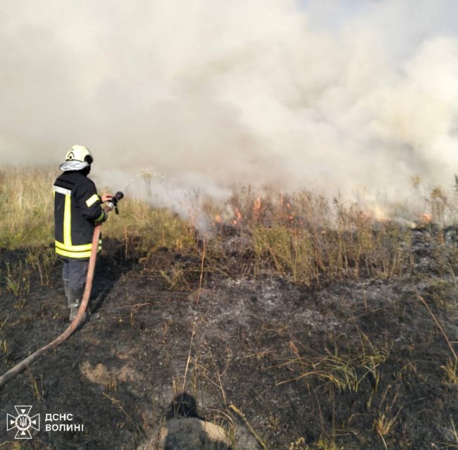 На Волині горів торф. ФОТО
