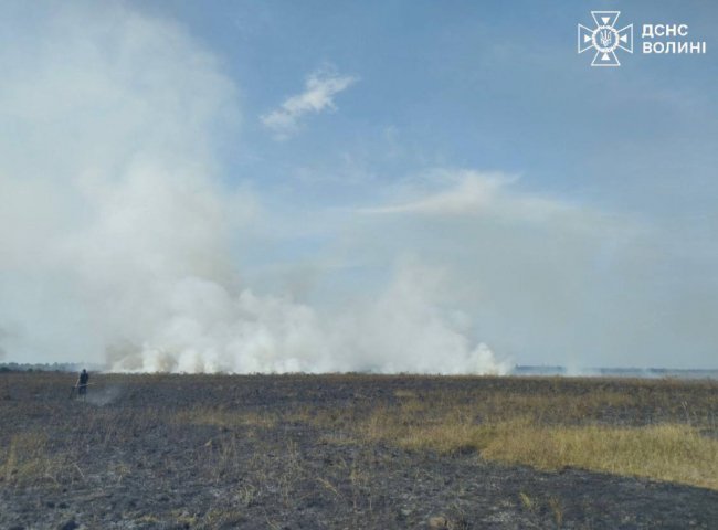 На Волині горів торф. ФОТО