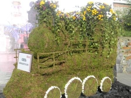 У Ковелі змагалися флористи. ФОТО. ВІДЕО