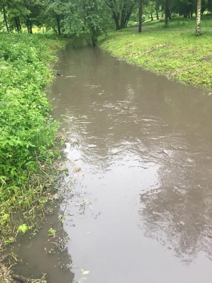 У волинському місті затопило парк. ФОТО