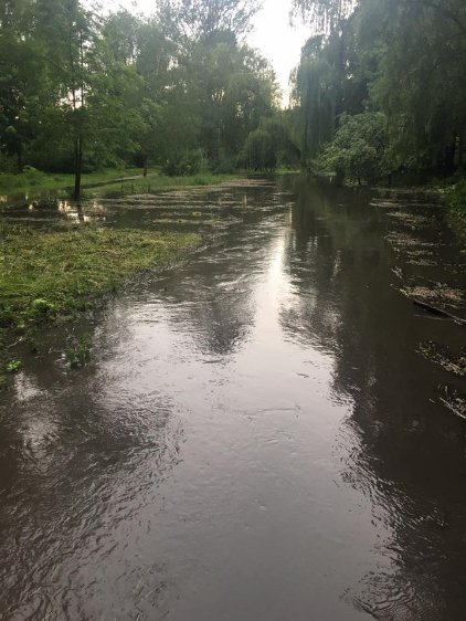 У волинському місті затопило парк. ФОТО