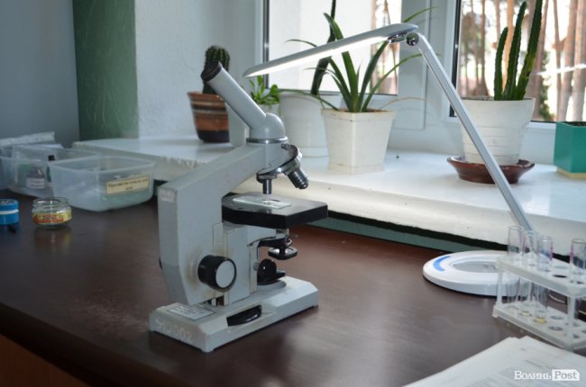 Кращий волинський санаторій: як у сосновому лісі «цвіте» «Пролісок». ФОТО