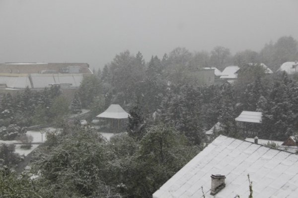 Сніг у квітні? У Львівській області штурмове  попередження. ВІДЕО. ФОТО