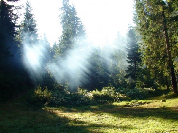 Фотовиставка Олександра Пизи