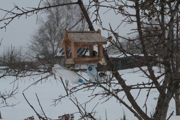 Фотовиставка Олександра Пизи