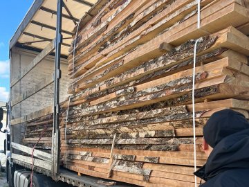 На «Ягодині» затримали недоброчесного підприємця, який хотів незаконно вивезти з України лісоматеріали 