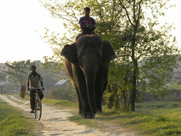Волиняни місяць мандрували святими місцями Індії. ФОТО