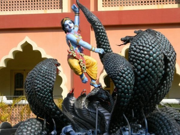 Волиняни місяць мандрували святими місцями Індії. ФОТО