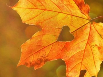 Погода у Луцьку та Волинській області на завтра, 19 жовтня