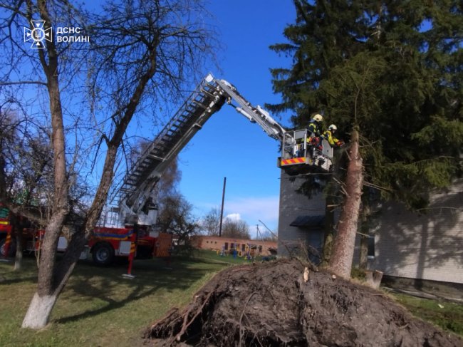Негода на Волині позривала дахи та вирвала з корінням дерево. ДЕТАЛІ