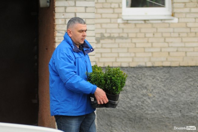 Фруктові дерева і барвистий дитячий майданчик: у Луцьку впорядкували двір. ФОТО