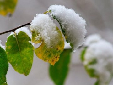 В жовтні може випасти перший сніг