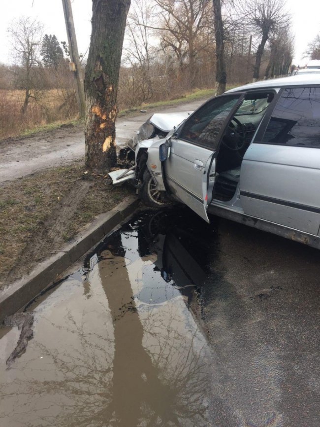 У Луцьку авто в’їхало в дерево. ФОТО