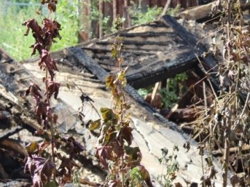 У Луцьку згорів будинок, де жили цигани. ФОТО