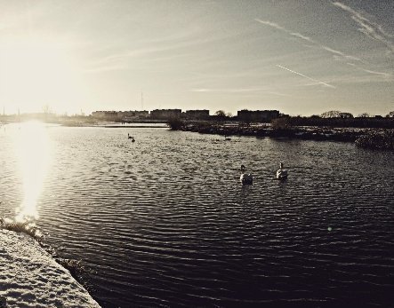 Фото «типового» Ковеля