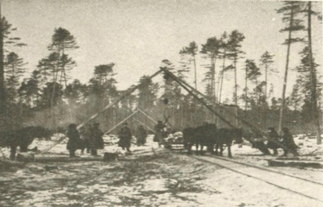 Вузькоколійка до Каменя-Каширського 100 років тому. РЕТРОФОТО