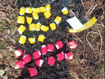 У Луцьку затримали 39-річного чоловіка, який збував психотропні речовини. ФОТО