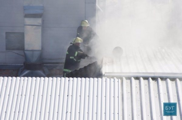 На Волині горів олійно-жировий комбінат. ФОТО. ВІДЕО