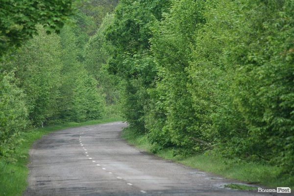 Партизанський музей у Лопатні: уламок ідеології чи місце пам’яті героїв?