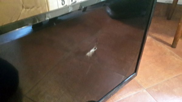 Світязьке «Межигір'я» нишком розбирають та вивозять. ФОТО