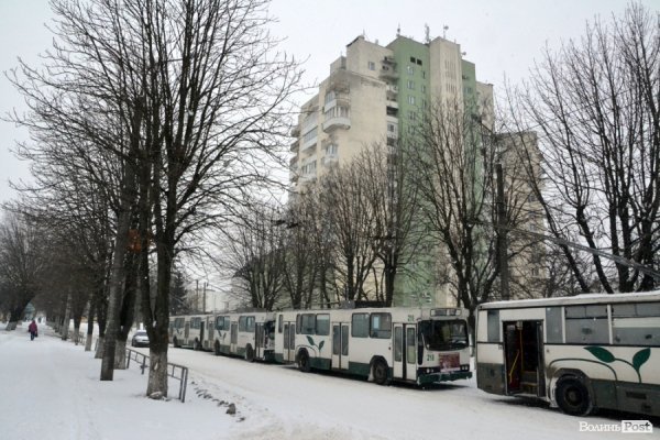 Лютий лютує: фото зими в Луцьку