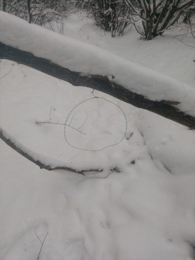 У волинському лісі орудував браконьєр. ФОТО