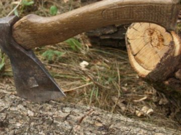 На Волині чоловіки на автомобілі з єврономерами крали деревину