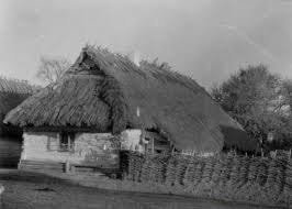 Найстаріший дерев'яний будинок України –  родом з Волині