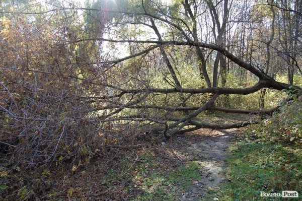 Парк у Луцьку: осіння краса і людська байдужість. ФОТО