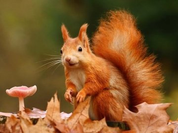 Погода в Луцьку та Волинській області на завтра, 19 жовтня