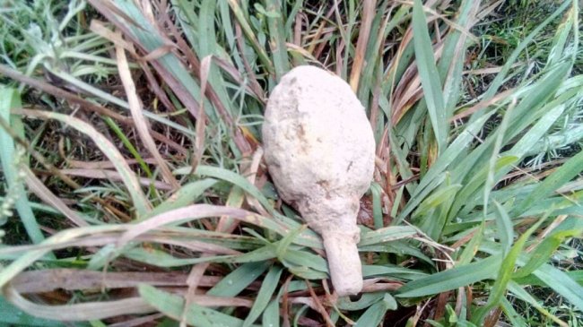  На Волині викопали боєприпаси часів Другої світової