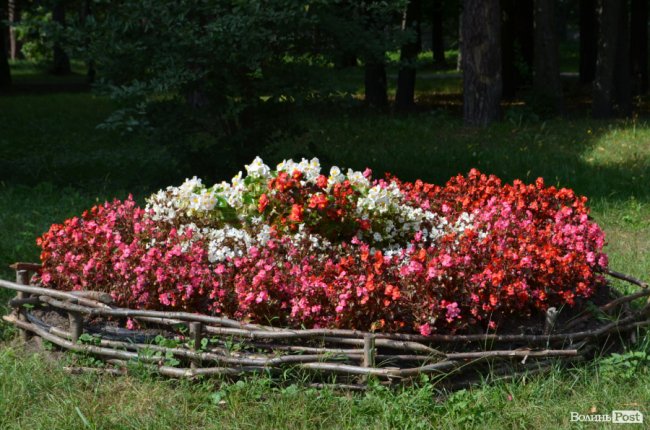 Кращий волинський санаторій: як у сосновому лісі «цвіте» «Пролісок». ФОТО