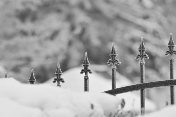 Засніжений Луцьк очима фотографа