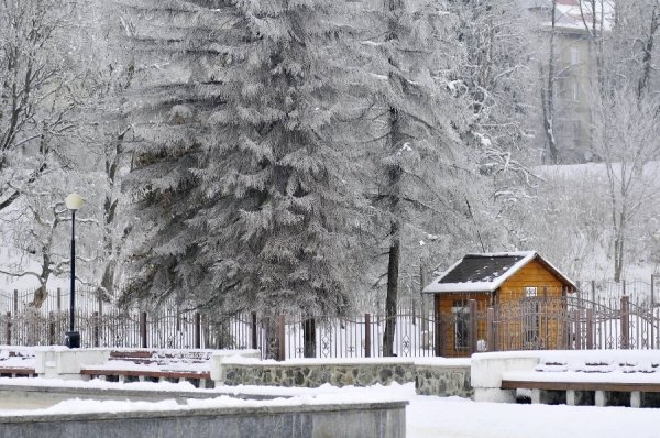 Засніжений Луцьк очима фотографа