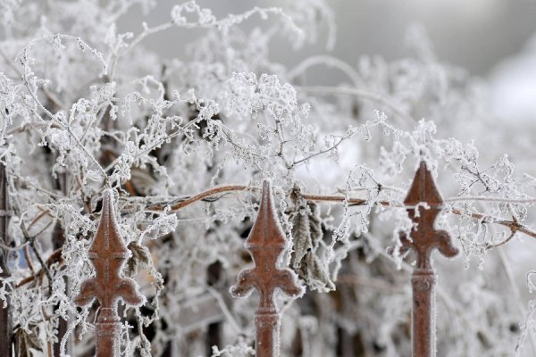 Засніжений Луцьк очима фотографа