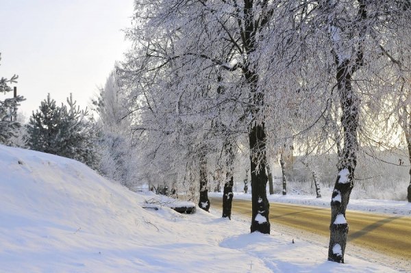 Засніжений Луцьк очима фотографа