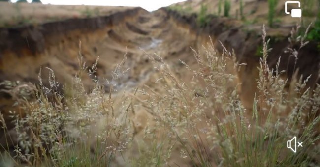«Волинський, Житомирський та Рівненський напрямки будуть міцніше прикриті інженерними загородженнями», – Наєв. ВІДЕО