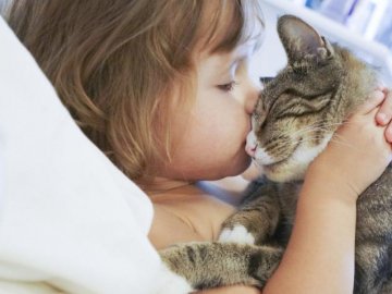 Лучан закликають покласти край знущанням над тваринами 