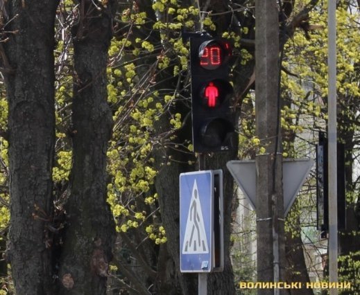 У Луцьку на переході збили дівчинку. ФОТО