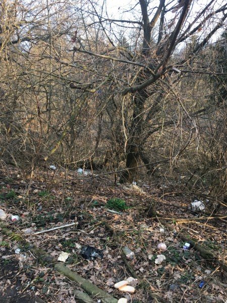 вулиця Глушець, 37А, Луцьк