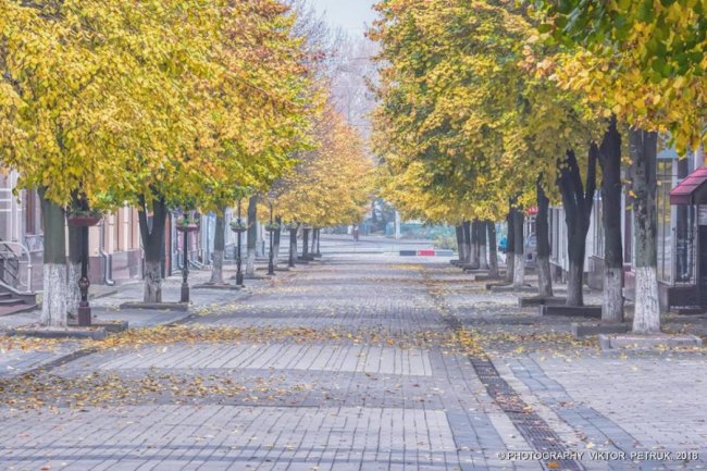 Атмосферна осінь у Луцьку: душевна фотодобірка