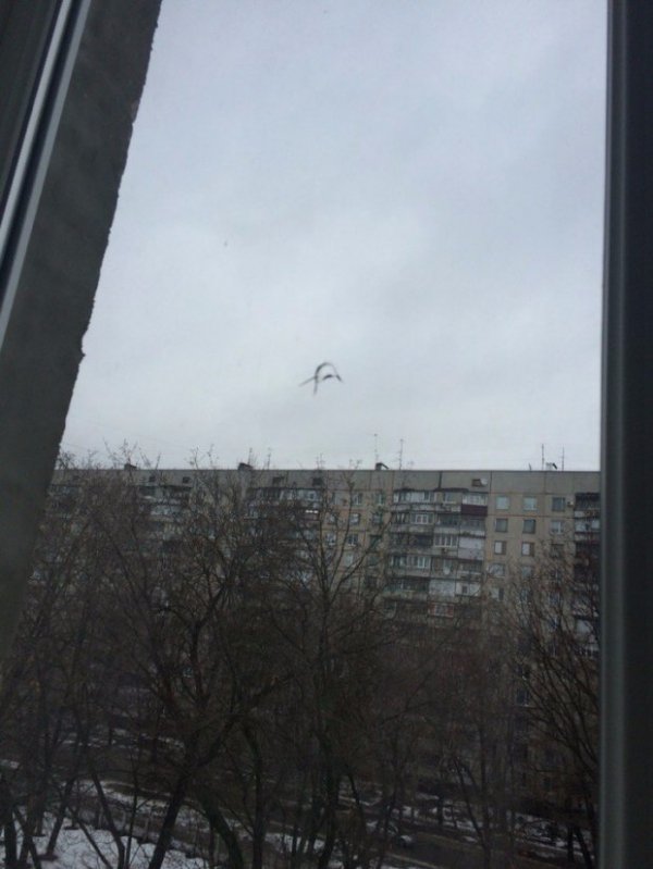 У Харкові обстріляли школу