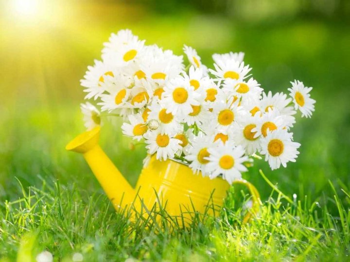 Погода в Луцьку та Волинській області на завтра, 23 червня