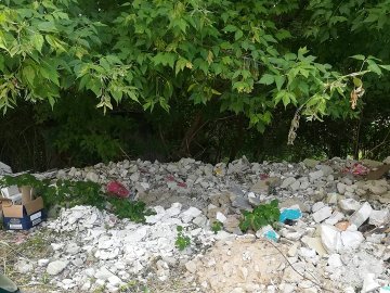 У центрі Луцька люди викидають будівельне сміття у кущі