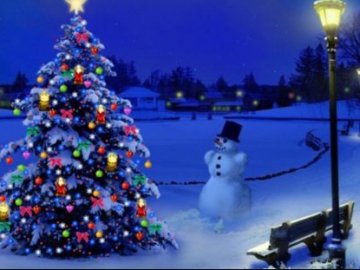 Чи будуть  новорічні ялинки у областях України з воєнним станом