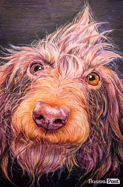 Точність ліній та глибина поглядів: у луцькому «Промені» презентували виставку Вікторії Марценюк