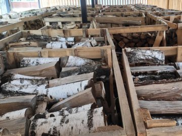 Заготівля, запаси, ціни: яка ситуація з дровами на Волині