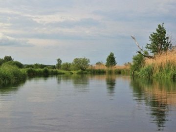 У Ковелі у річці Турія небезпечно купатися