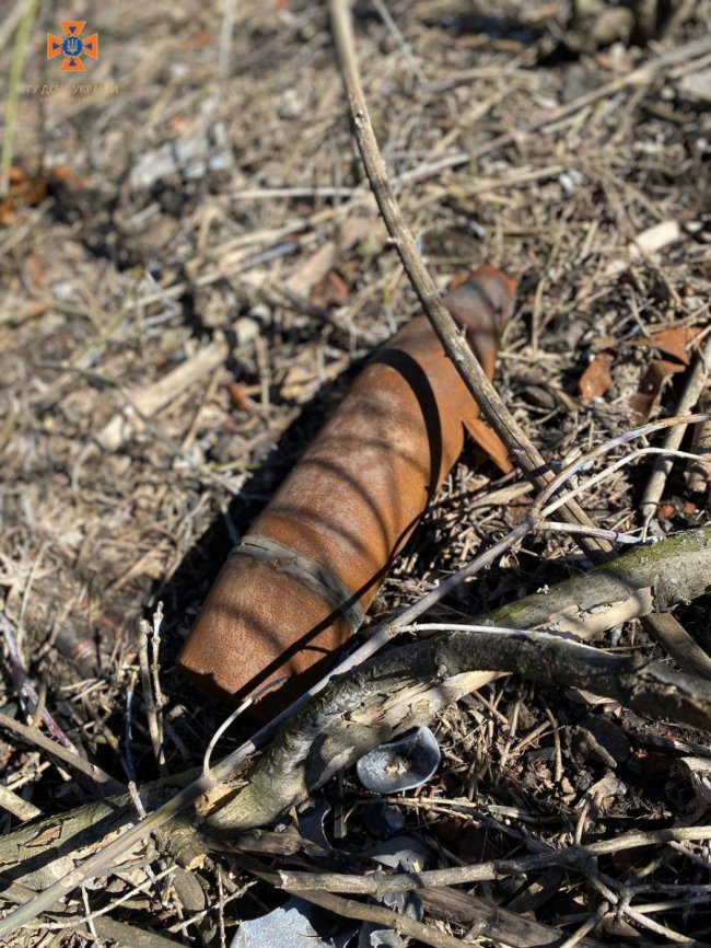 Волинські піротехніки ліквідували 720 боєприпасів на Сході. ФОТО