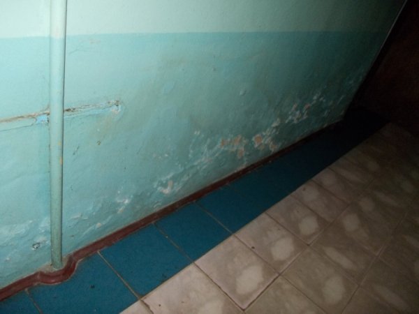 Грибок, корозія і дірявий дах: яким продали кінотеатр «Промінь». ФОТО